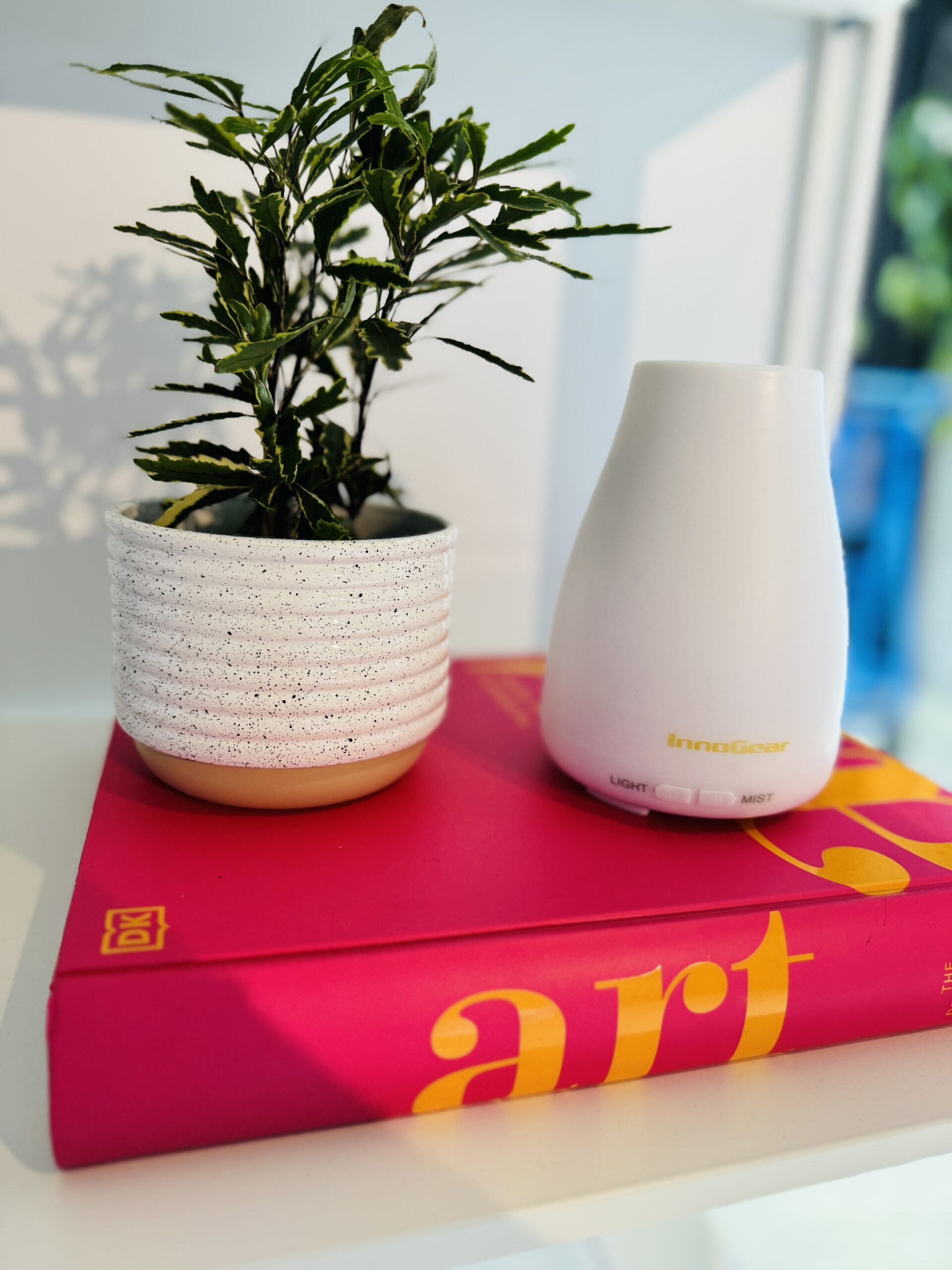 prime day 2024 top picks and insider tips | prime day, amazon prime day, amazon prime, amazon fashion, accessories, home, home decor, oil diffuser sitting next to plant and on top of a book